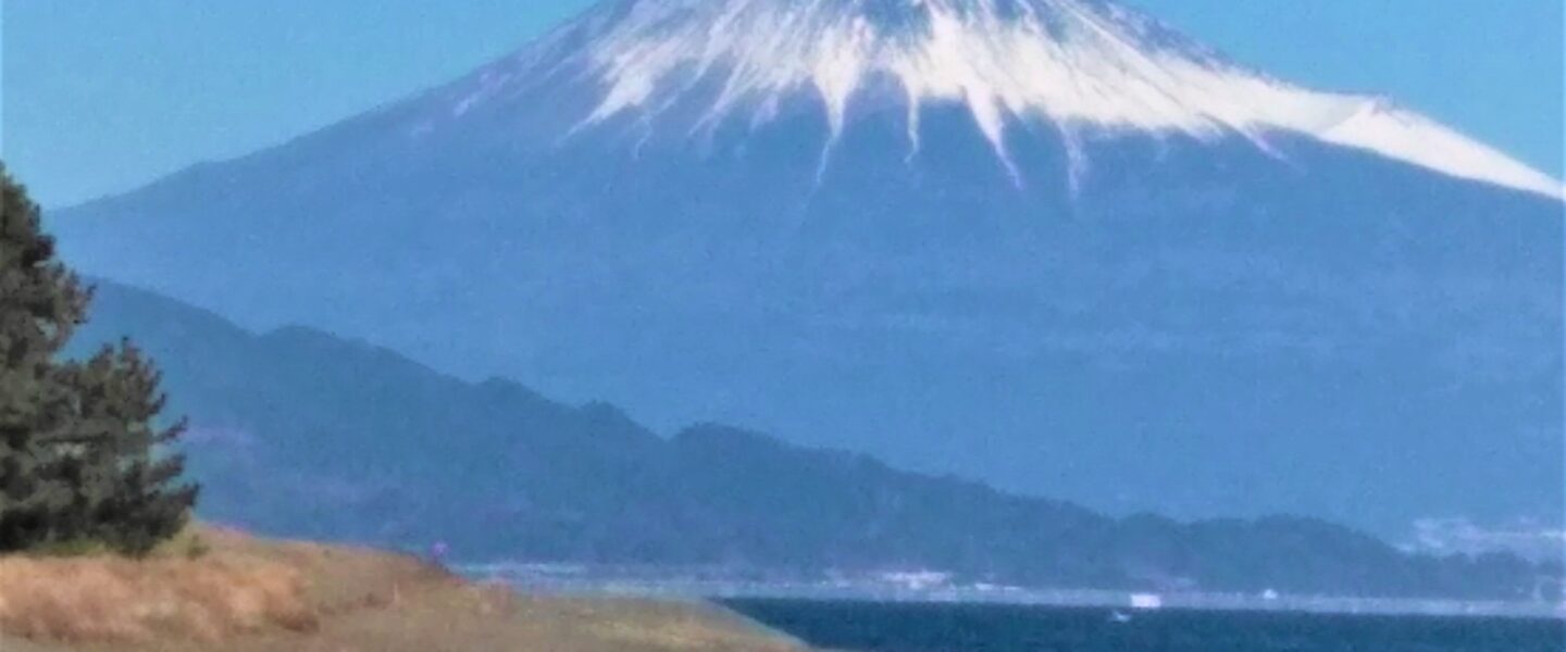 謹賀新年