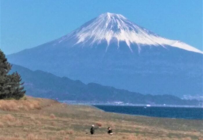 謹賀新年